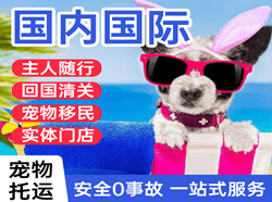 潮汕机场空运国际宠物托运 【国